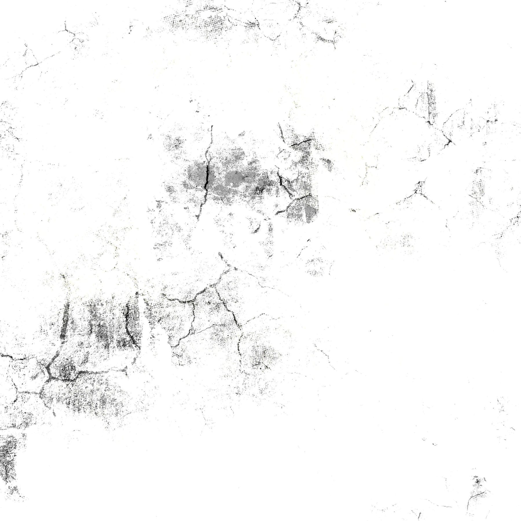 Album artwork for Cyan341 — Ark 8