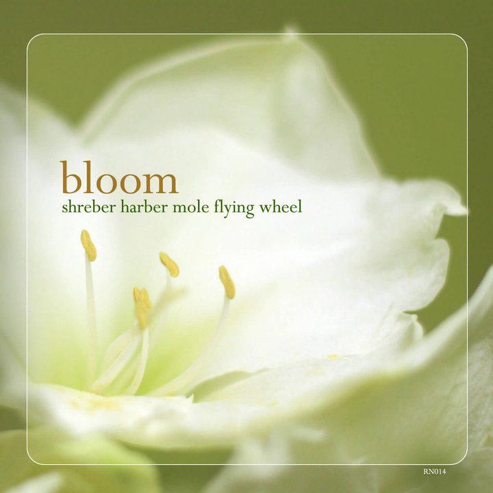 Bloom artwork