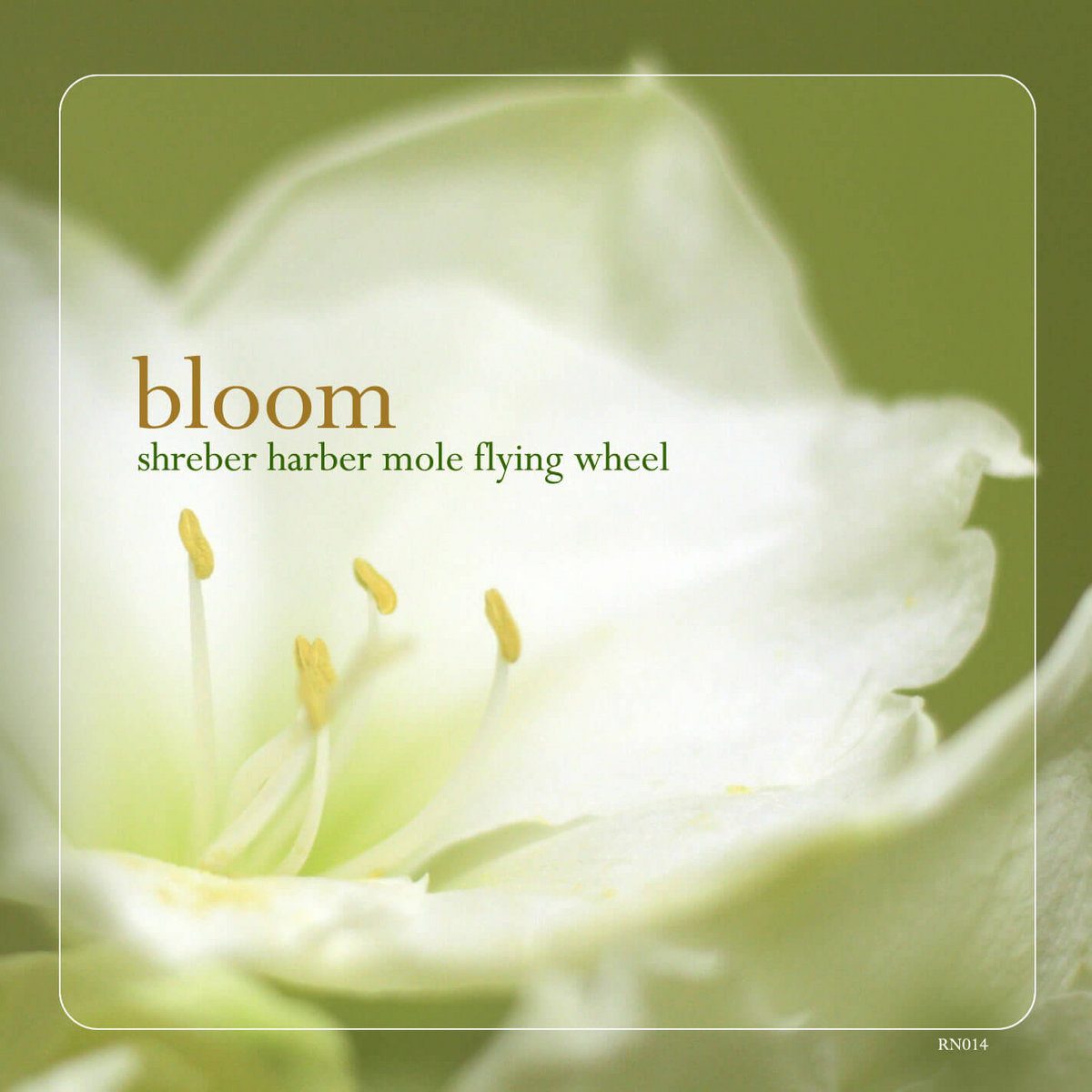 Album artwork for Shreber Harber Mole Flying Wheel — Bloom
