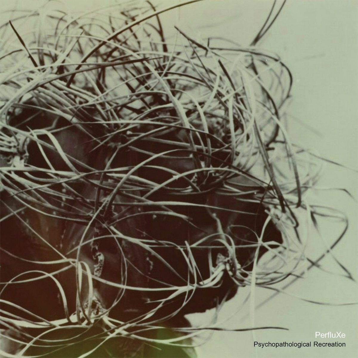 Album artwork for Perfluxe — Psycho pathological Recreation
