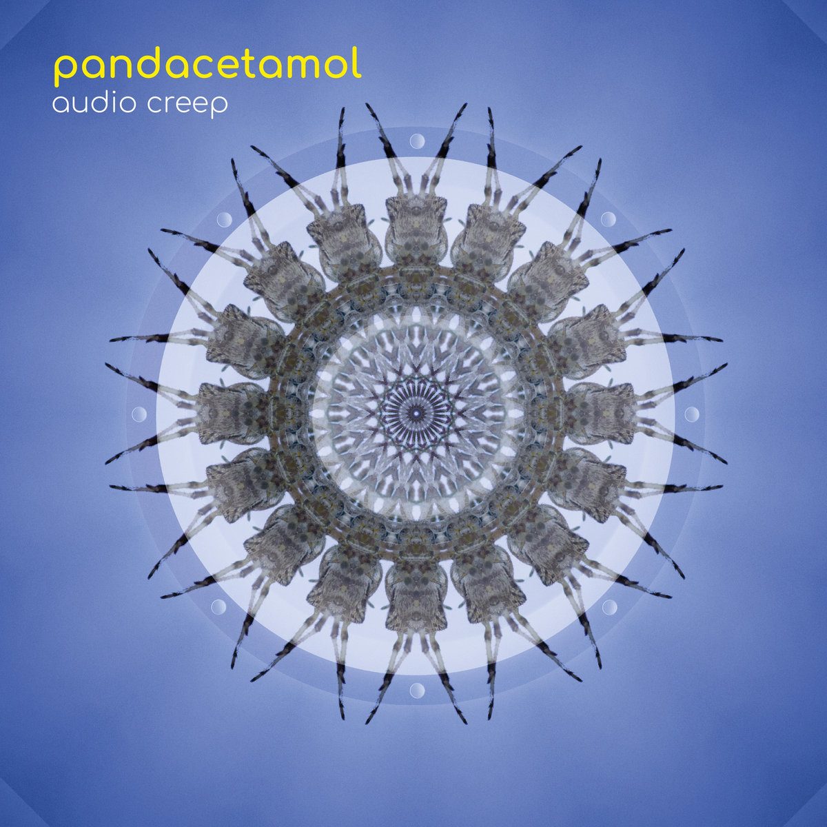 Album artwork for Pandacetamol — Audio Creep