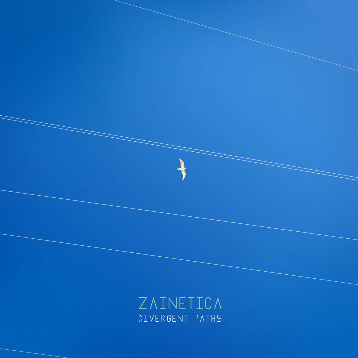 Album artwork for Zainetica — Divergent Paths