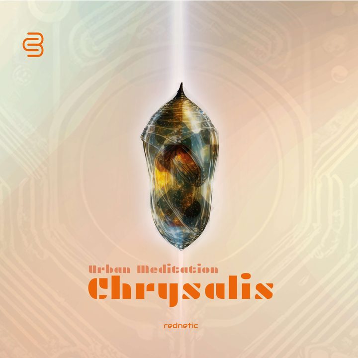 Chrysalis artwork