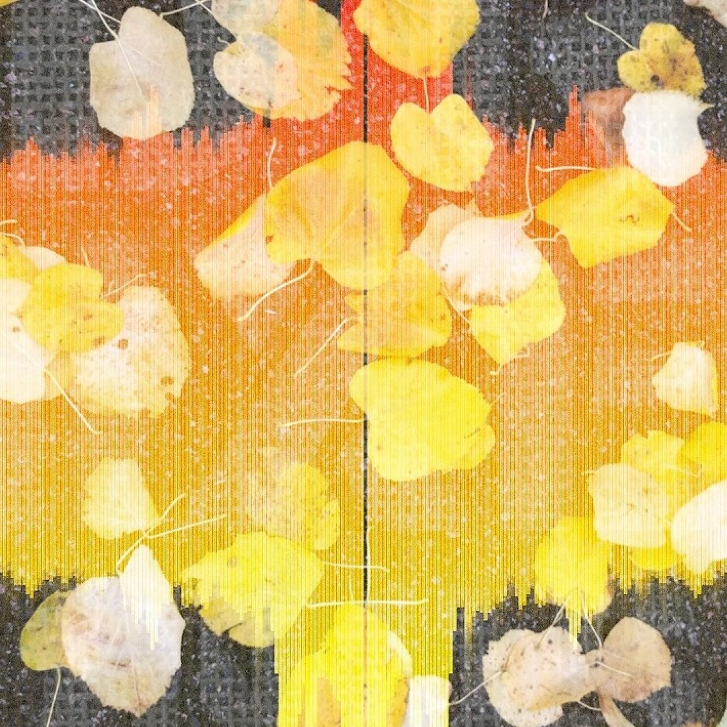 Album artwork for Zainetica — Sunosis - Leap Remixes Mixed by Zainetica