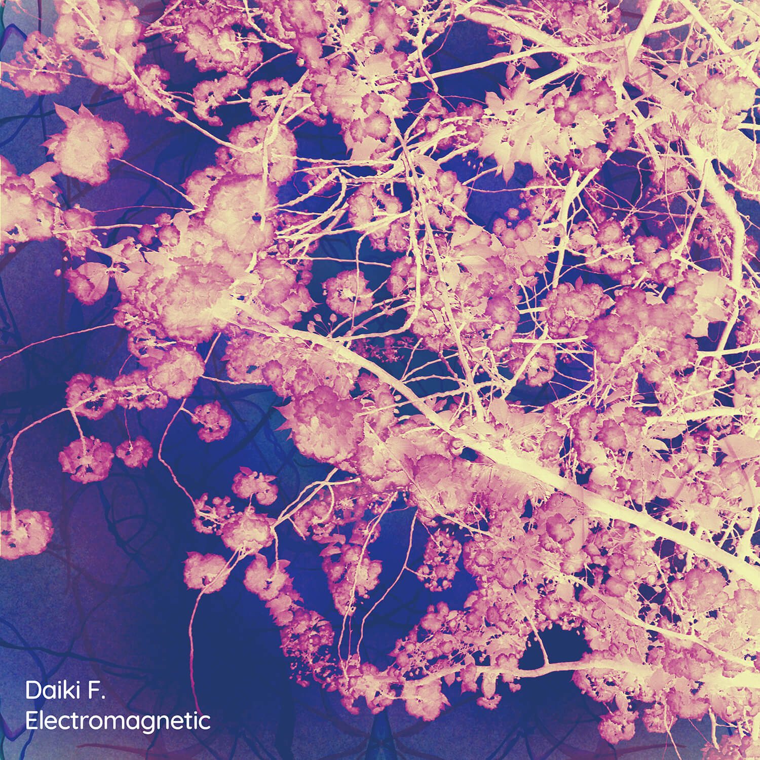 Album artwork for Daiki F — Electromagnetic
